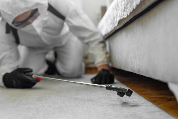 Professional Bed Bug Control technician working in La Luz, NM