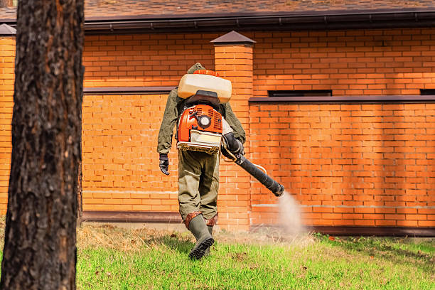 Trusted Cockroach Control service in La Luz, NM - Nex Pest Control